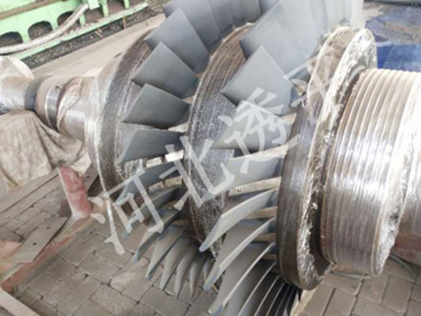 TRT�~Ƭ�{���մɇ�Ϳ